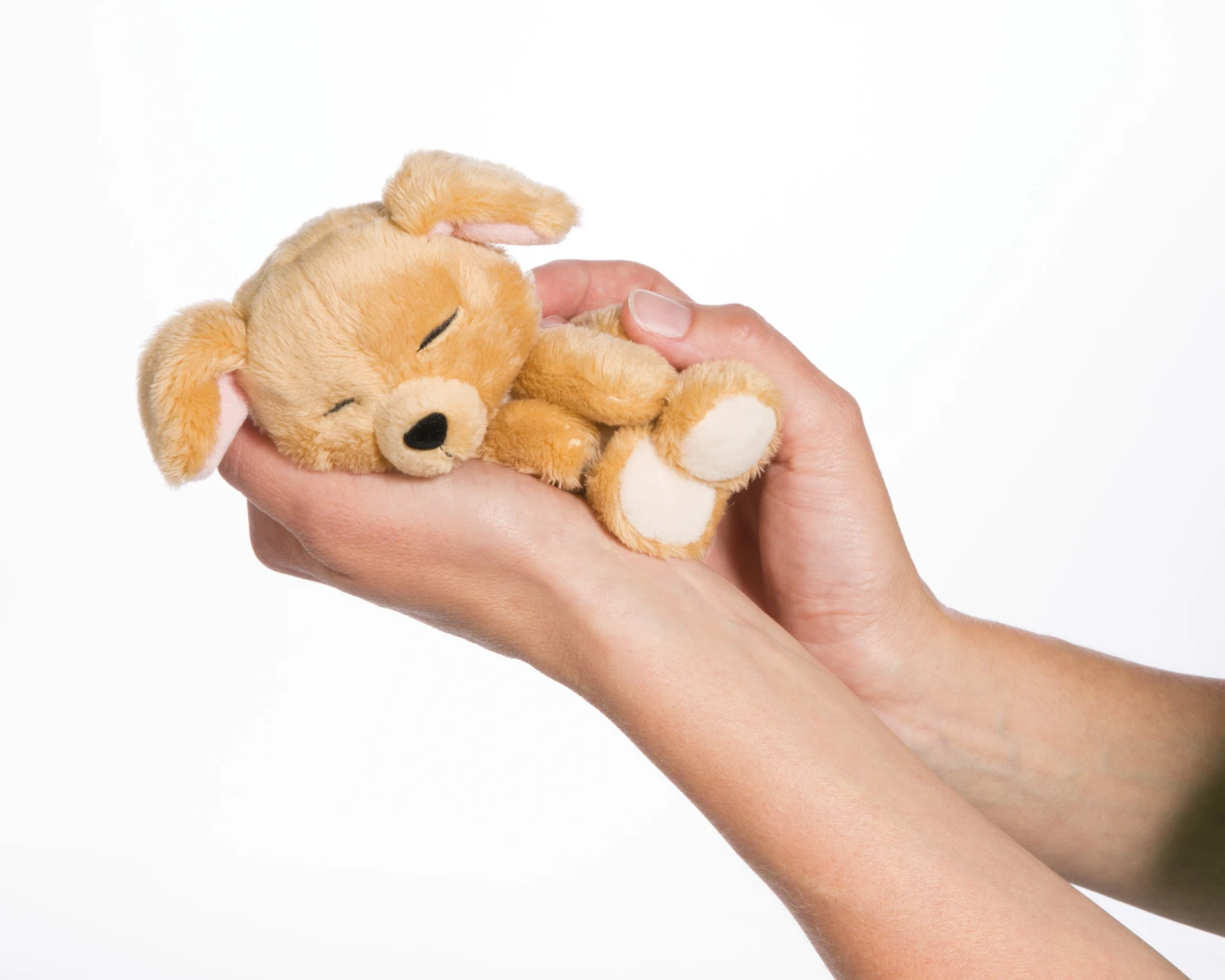 Nici 48111 Sleeping Puppies Schlafendes Hundebaby Im Körbchen 12cm Karamell – Bild 2